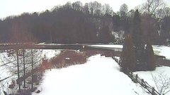 view from YardCam on 2024-12-16