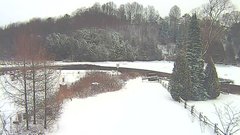 view from YardCam on 2024-12-21