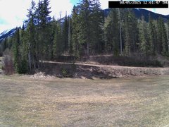 view from Stadium.Cam on 2025-05-08