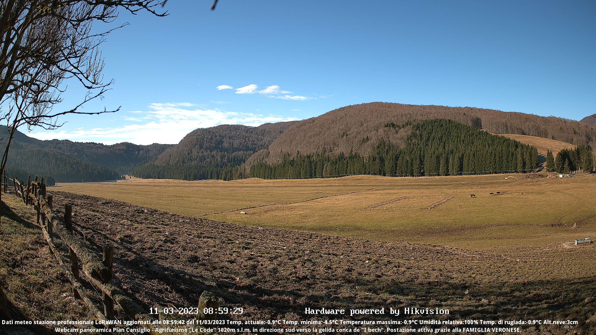 time-lapse frame, Webcam Cansiglio - verso la piana dei "Bech" webcam
