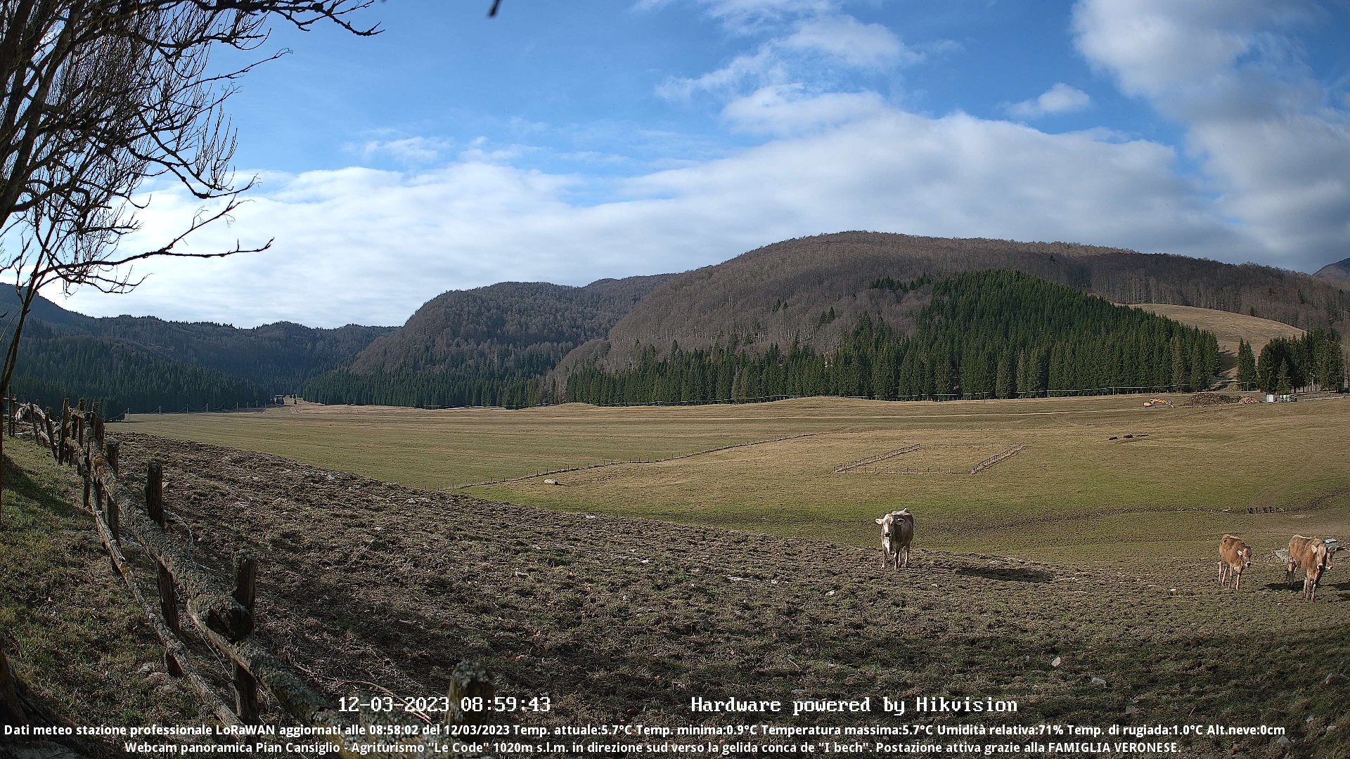 time-lapse frame, Webcam Cansiglio - verso la piana dei "Bech" webcam