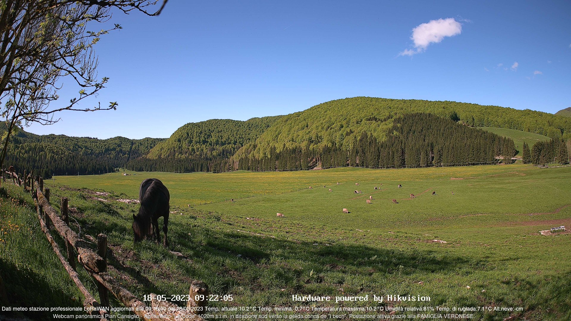 time-lapse frame, Webcam Cansiglio - verso la piana dei "Bech" webcam