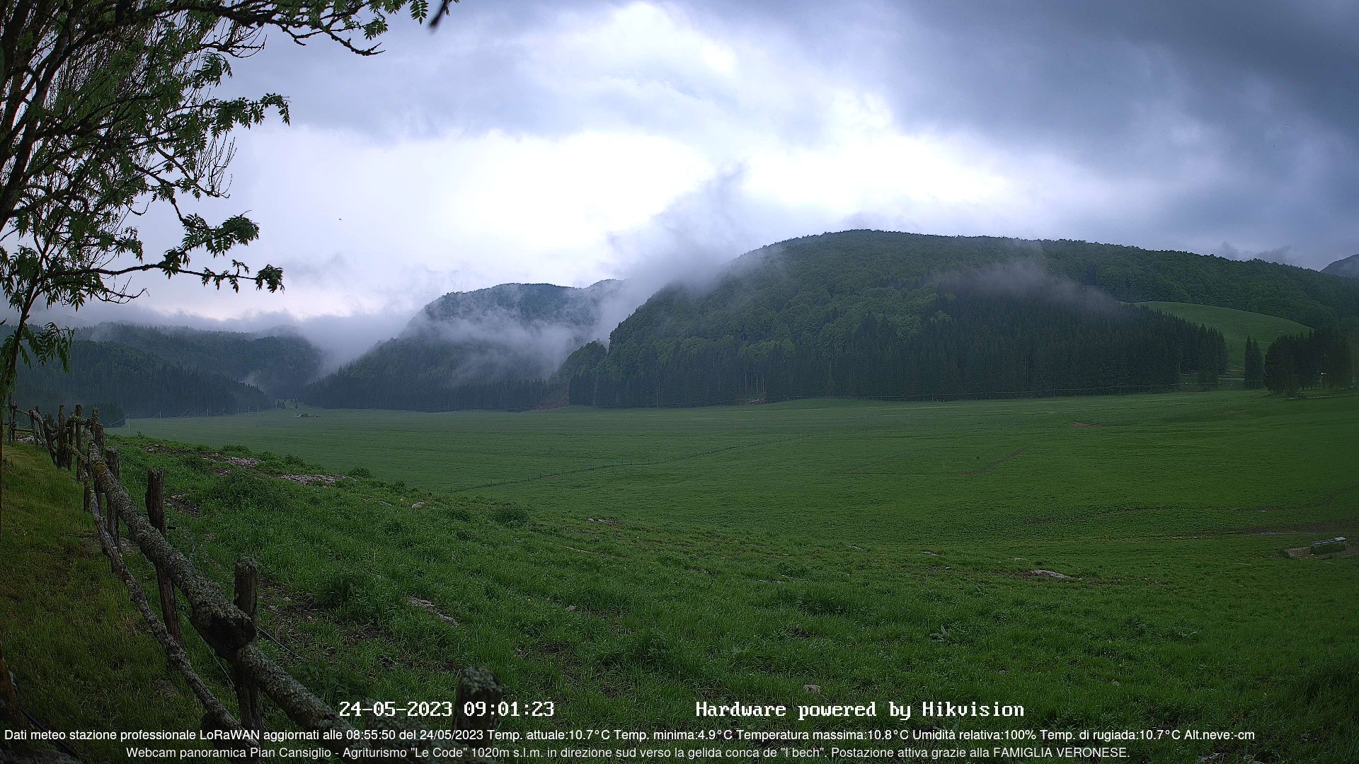 time-lapse frame, Webcam Cansiglio - verso la piana dei "Bech" webcam