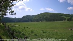 view from Webcam Cansiglio - verso la piana dei "Bech" on 2023-05-29