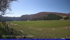 view from Webcam Cansiglio - verso la piana dei "Bech" on 2024-04-13