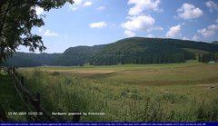 view from Webcam Cansiglio - verso la piana dei "Bech" on 2024-07-19