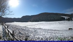 view from Webcam Cansiglio - verso la piana dei "Bech" on 2024-11-22