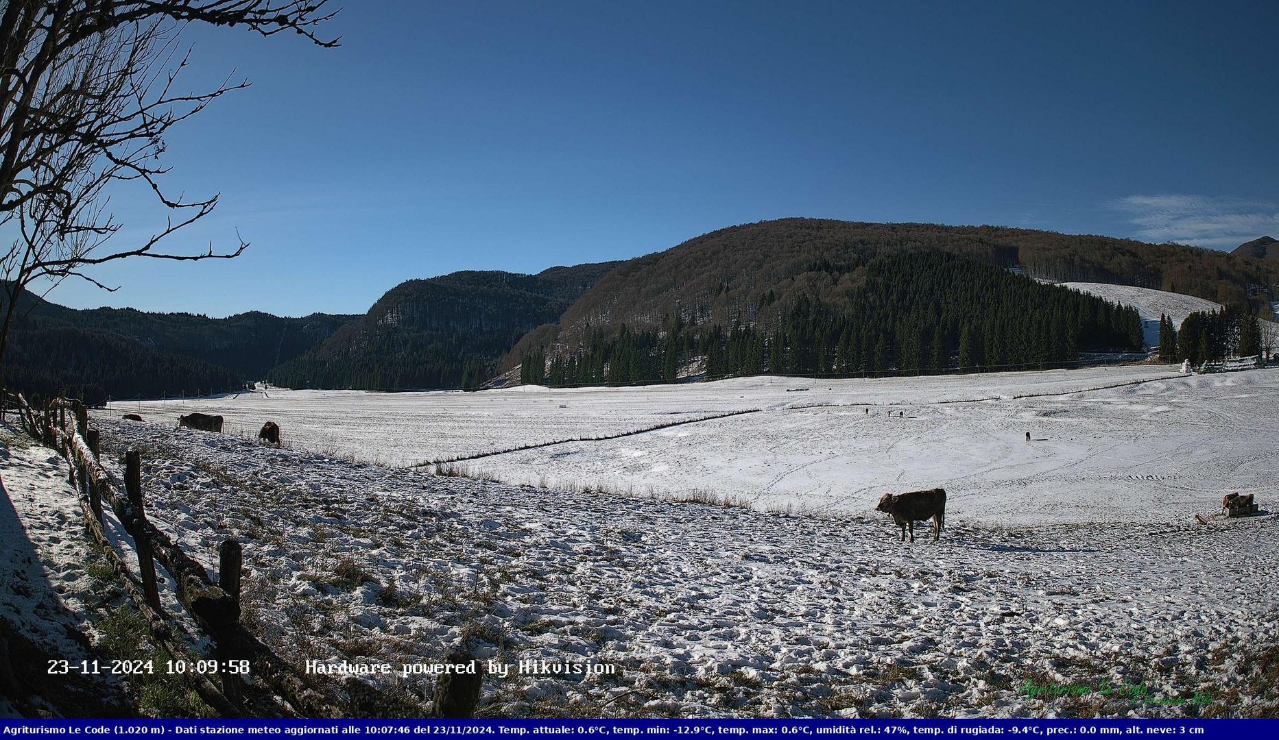 time-lapse frame, Webcam Cansiglio - verso la piana dei "Bech" webcam