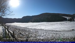 view from Webcam Cansiglio - verso la piana dei "Bech" on 2024-11-23