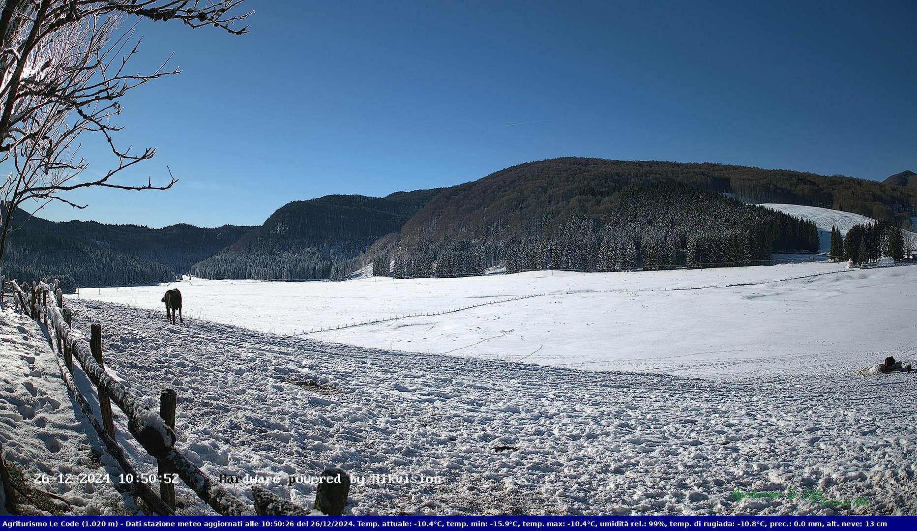 time-lapse frame, Webcam Cansiglio - verso la piana dei "Bech" webcam