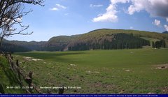 view from Webcam Cansiglio - verso la piana dei "Bech" on 2025-04-30