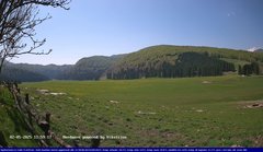 view from Webcam Cansiglio - verso la piana dei "Bech" on 2025-05-02