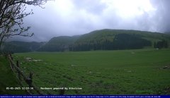 view from Webcam Cansiglio - verso la piana dei "Bech" on 2025-05-05