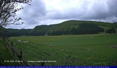 view from Webcam Cansiglio - verso la piana dei "Bech" on 2025-05-07