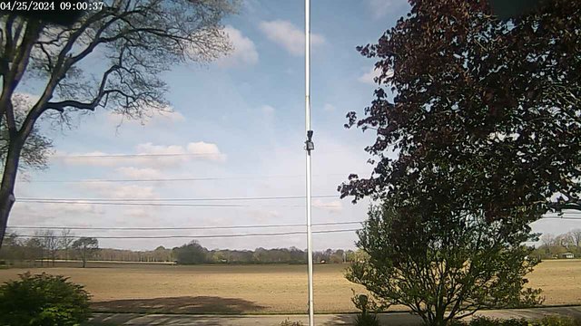 time-lapse frame, F1903P webcam