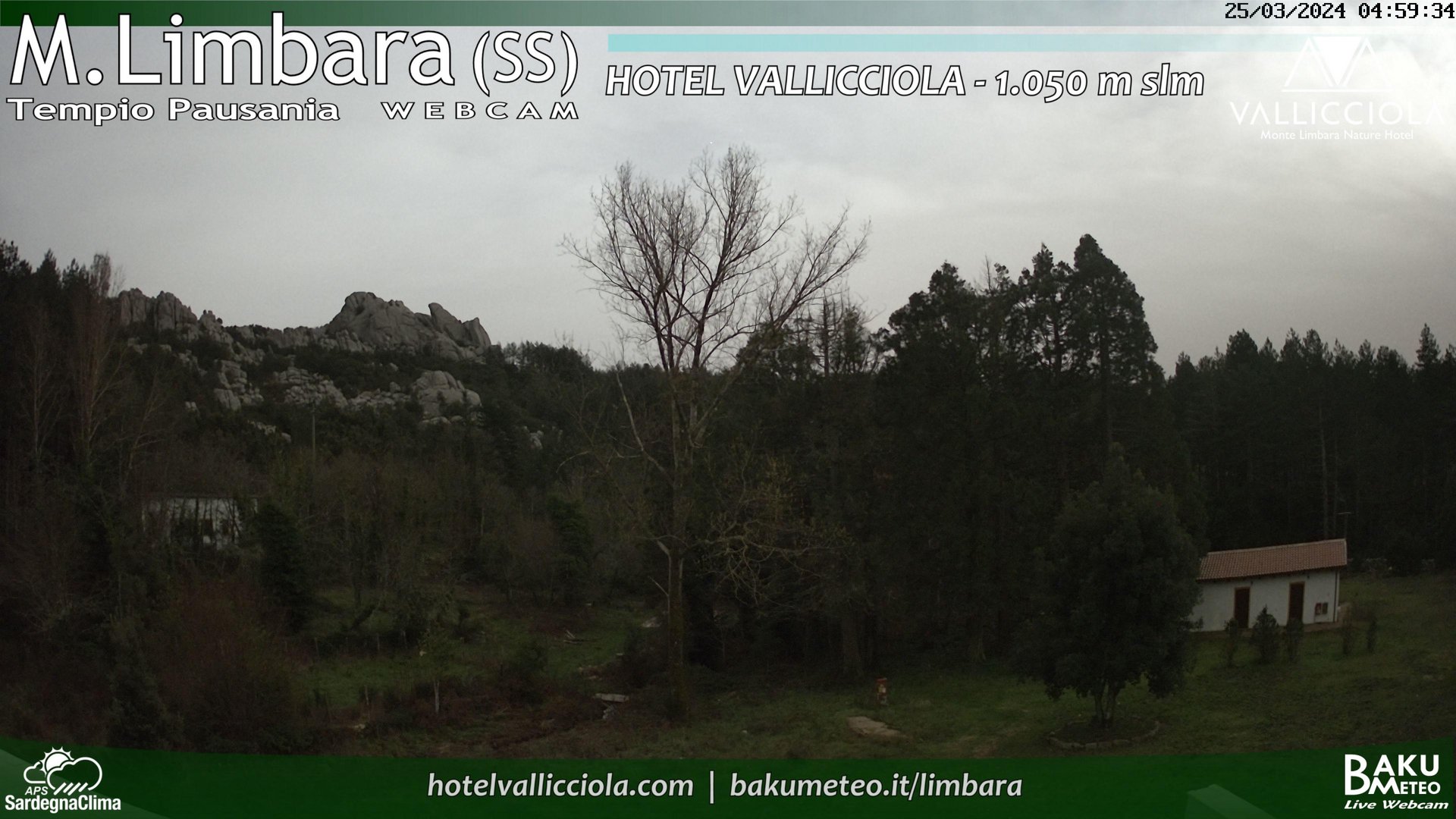 time-lapse frame, Monte Limbara Vallicciola webcam