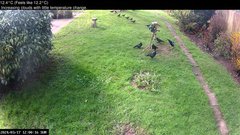 view from Wembury, Devon. Garden Cam on 2024-03-17