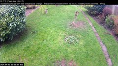 view from Wembury, Devon. Garden Cam on 2024-04-02