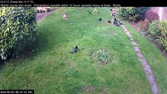view from Wembury, Devon. Garden Cam on 2024-05-03