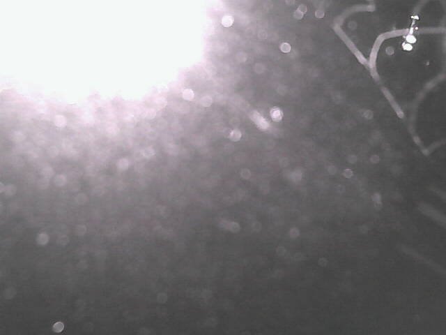 time-lapse frame, Cowes Yacht Club - West webcam