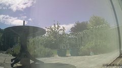 view from Ainsweather on 2025-05-03