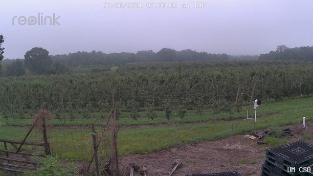 time-lapse frame, UM CSO webcam
