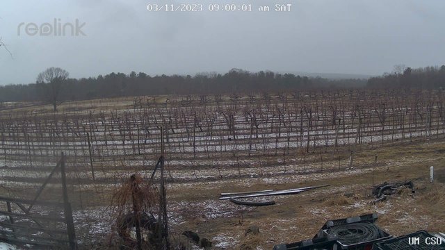 time-lapse frame, UM CSO webcam