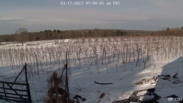 time-lapse frame, UM CSO webcam