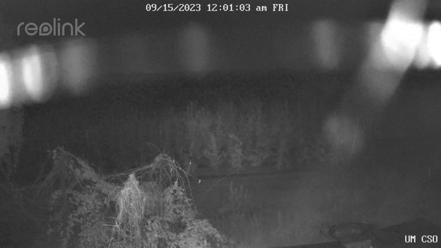 time-lapse frame, UM CSO webcam