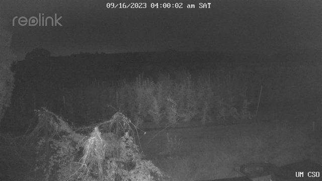 time-lapse frame, UM CSO webcam