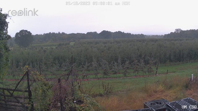 time-lapse frame, UM CSO webcam