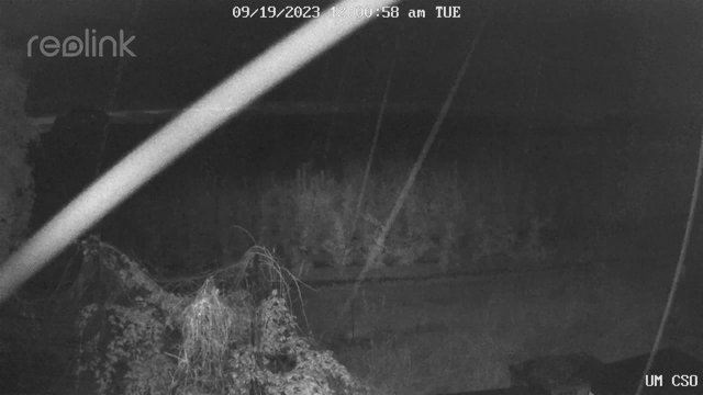 time-lapse frame, UM CSO webcam