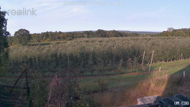 time-lapse frame, UM CSO webcam