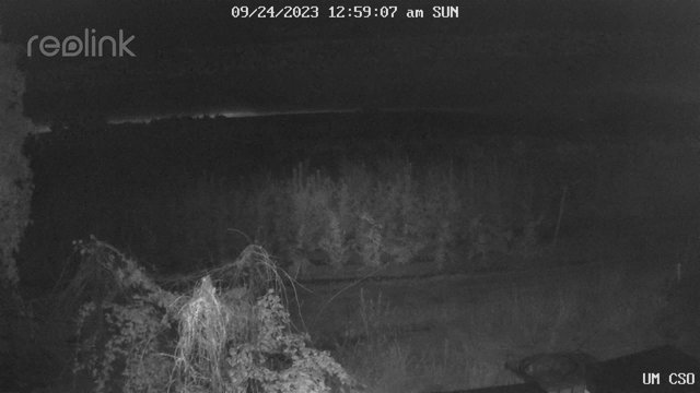 time-lapse frame, UM CSO webcam