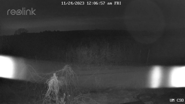 time-lapse frame, UM CSO webcam