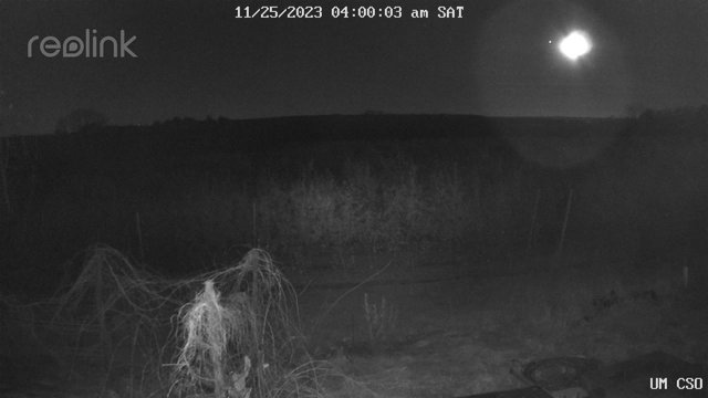 time-lapse frame, UM CSO webcam