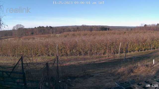 time-lapse frame, UM CSO webcam