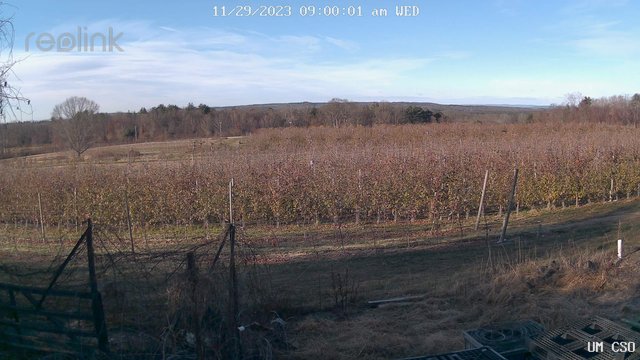 time-lapse frame, UM CSO webcam