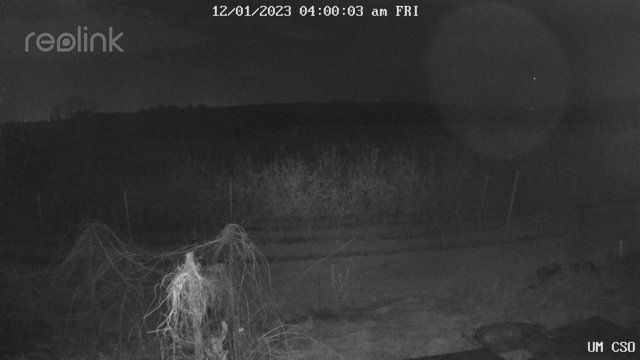 time-lapse frame, UM CSO webcam