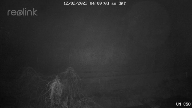 time-lapse frame, UM CSO webcam