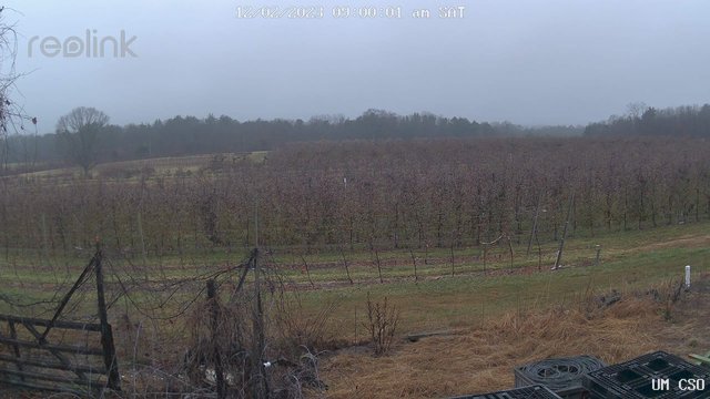 time-lapse frame, UM CSO webcam
