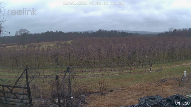 time-lapse frame, UM CSO webcam