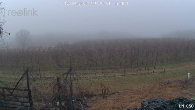 time-lapse frame, UM CSO webcam