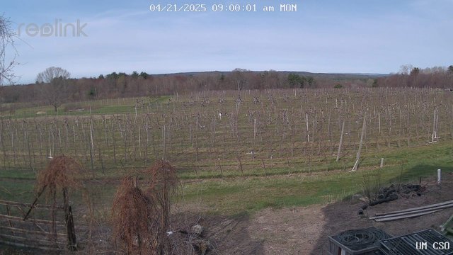 time-lapse frame, UM CSO webcam