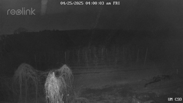 time-lapse frame, UM CSO webcam