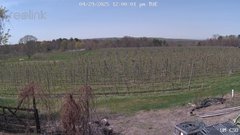 view from UM CSO on 2025-04-29