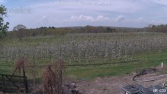 view from UM CSO on 2025-05-03
