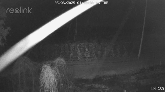time-lapse frame, UM CSO webcam