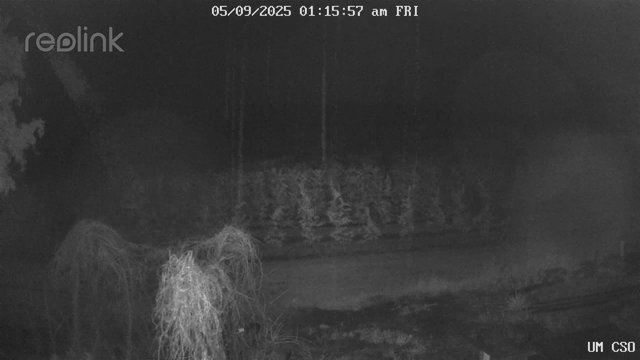 time-lapse frame, UM CSO webcam