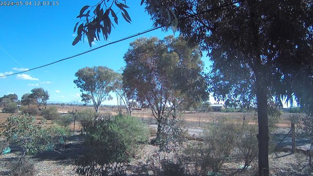 time-lapse frame, West webcam